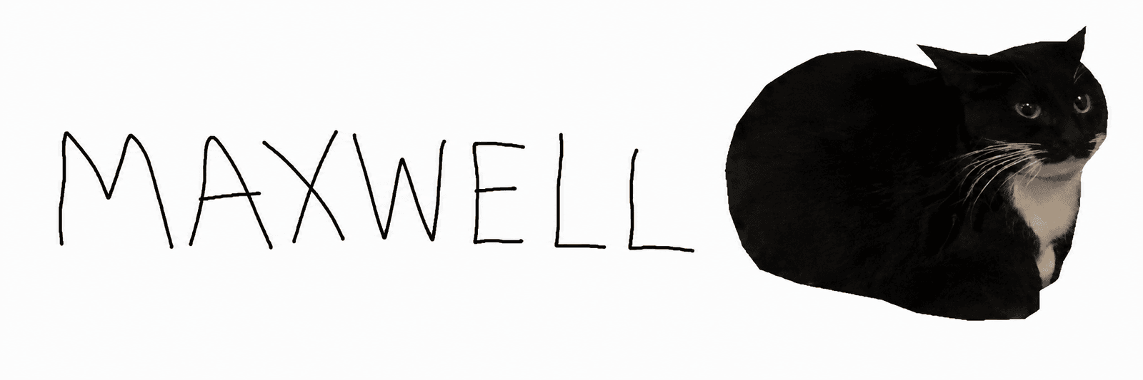 MAXWELL wordmark next to a photo of the real cat